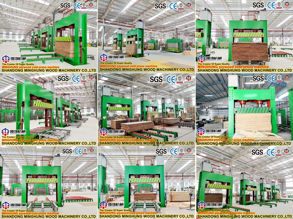 cold press MINGHUNG prensado en frío