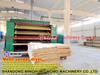 Secador de chapa Secadora de malla para la fabricación de madera contrachapada