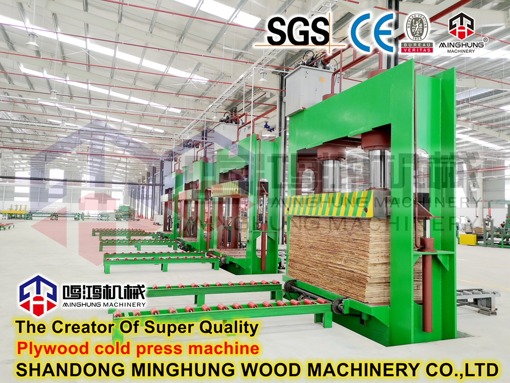 MINGHUNG MÁQUINA DE PRENSA EN FRÍO_副本