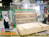 Línea de producción de madera contrachapada Máquina de proceso de fabricación de madera contrachapada