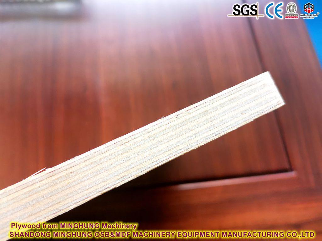 Madera contrachapada de MINGHUNG maquinaria de madera contrachapada