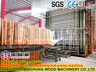 Máquina de prensa hidráulica de prensado en caliente para la fabricación de madera contrachapada