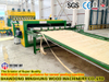Línea de producción automática de madera contrachapada de alta capacidad