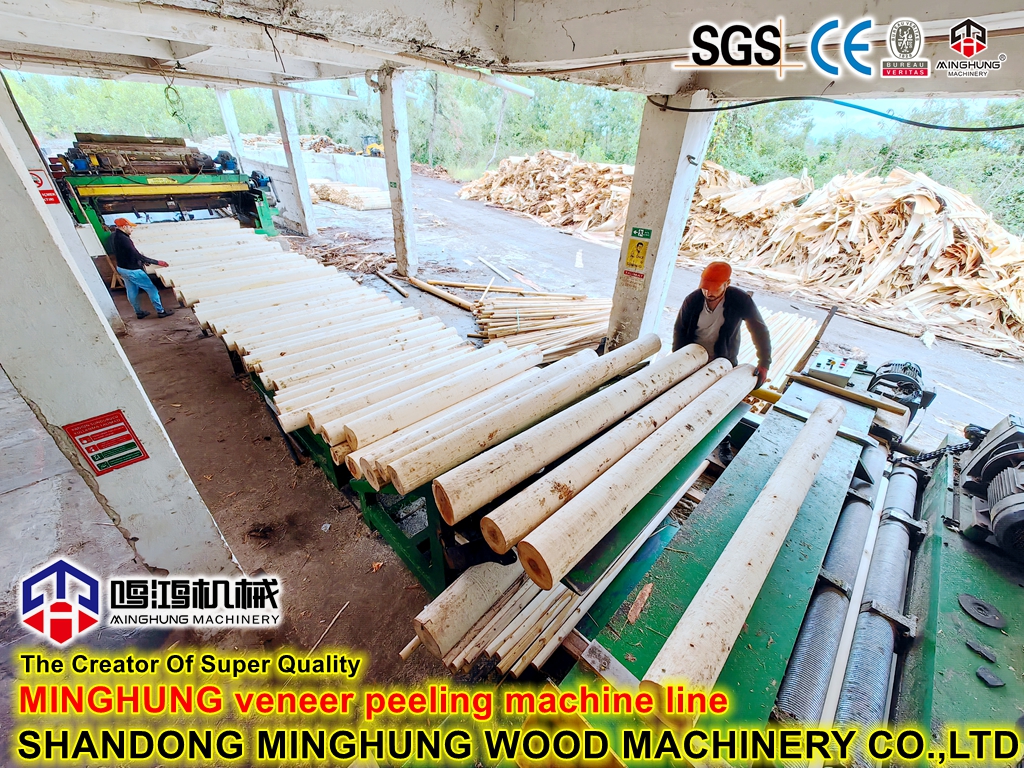 MINGHUNG Torno para chapa (14)