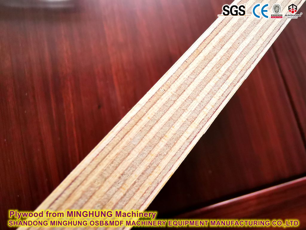 Madera contrachapada de MINGHUNG maquinaria
