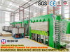 Máquina de prensado en caliente de la máquina de madera contrachapada de fábrica de China