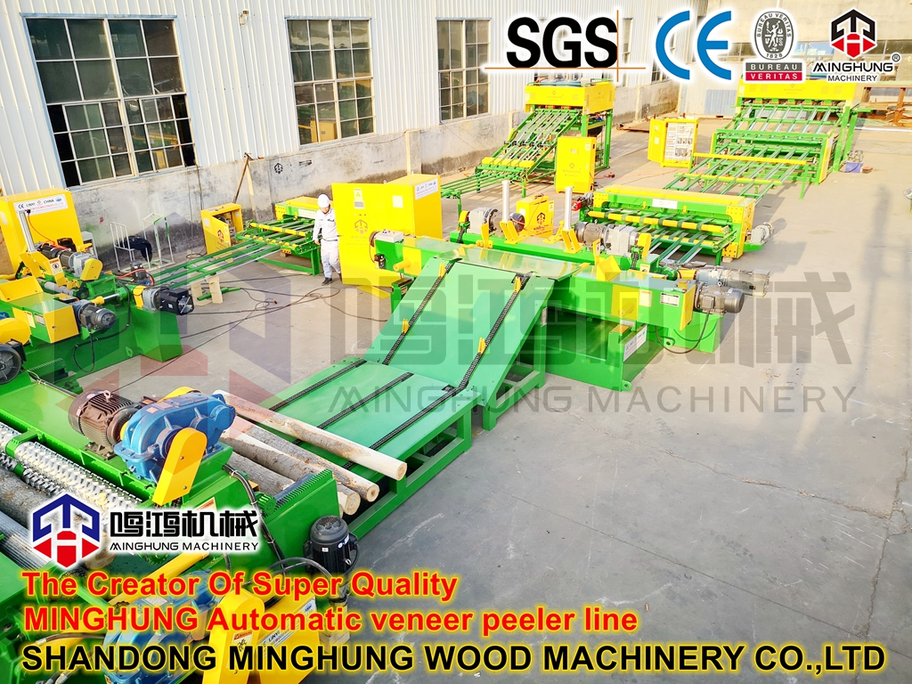 MINGHUNG Línea de chapa automática