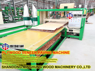 Máquina de trabajo de madera Máquina de diseño de núcleo de chapa de madera contrachapada