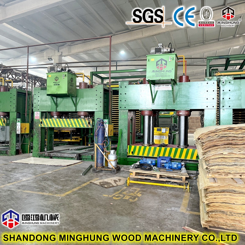 China MINGHUNG Prensa en fr&iacute;o de madera contrachapada