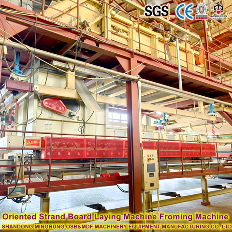 800m³ Línea diaria de producción OSB de alta estabilidad 1220x2440 mm