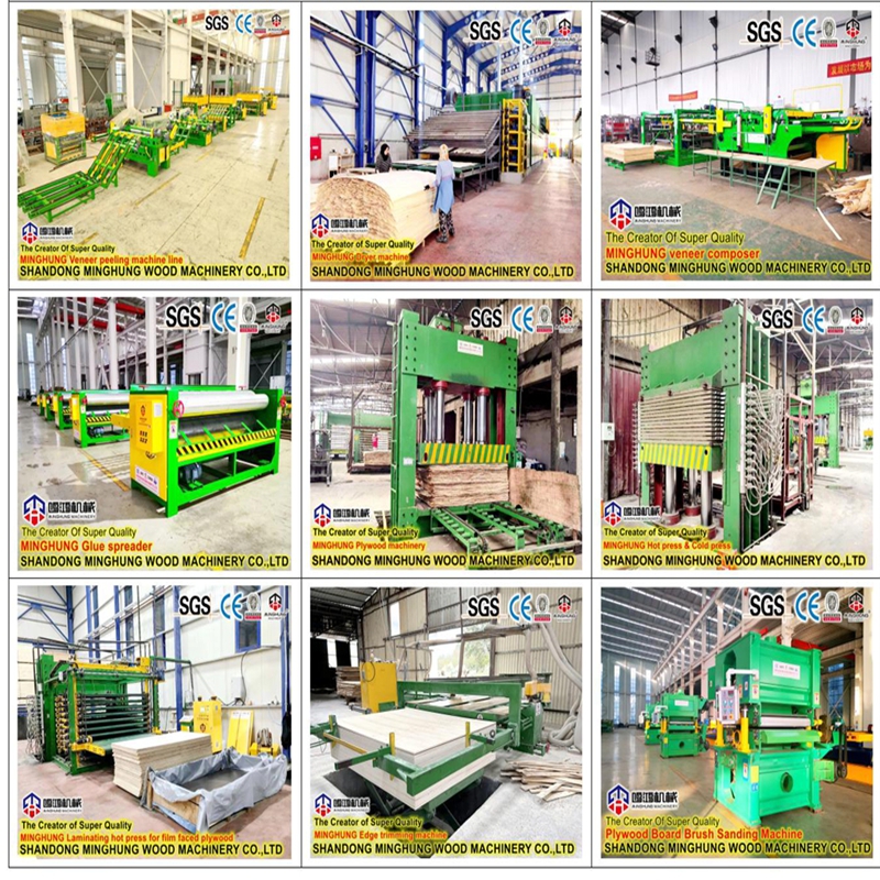 Línea de producción de madera contrachapada de China