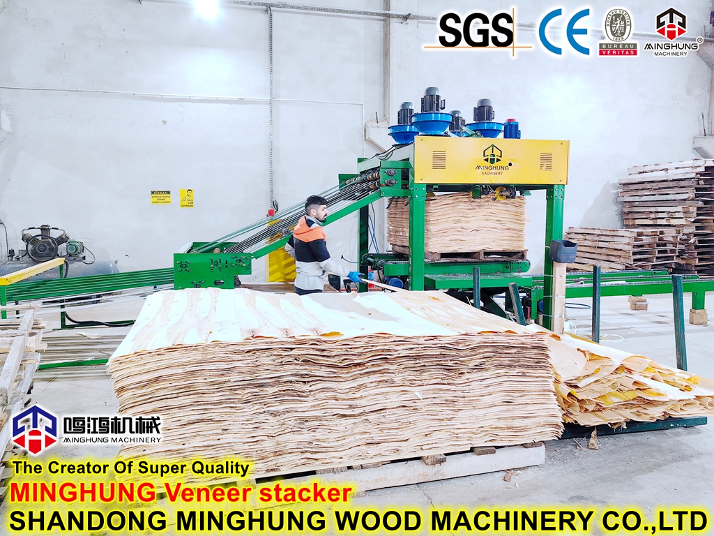 MINGHUNG Sacador de chapa
