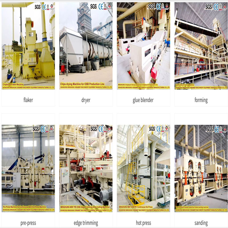 Fabricante chino de maquinaria para paneles a base de madera.