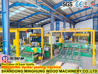 Línea de producción de prensa caliente dedicada a madera contrachapada de 18-40 mm 