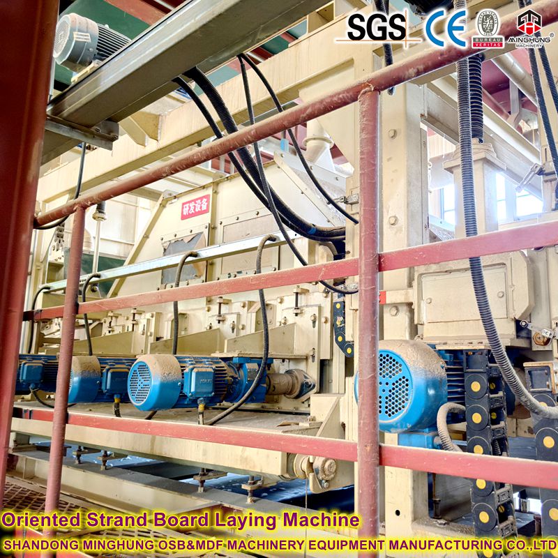 Máquina de colocar orientación orientada